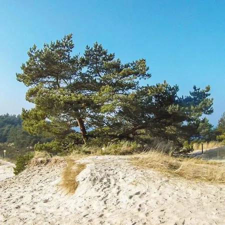 Stunning In Grzybowo (West Pomeranian)