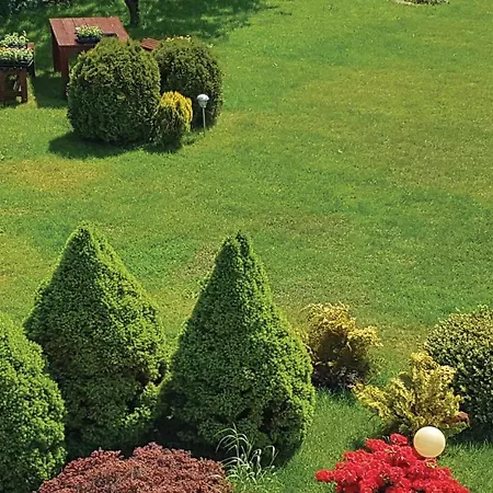 Stunning In * Grzybowo (West Pomeranian)