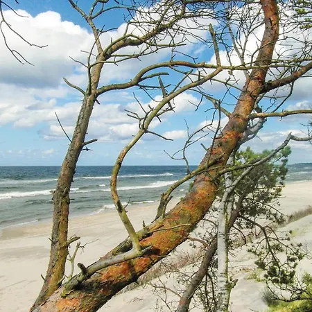 Stunning In 格里兹鲍