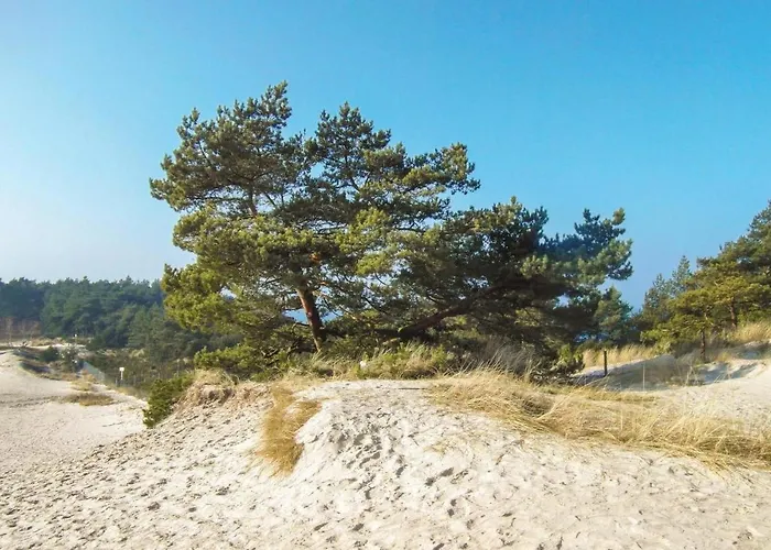 Stunning In Грзибово