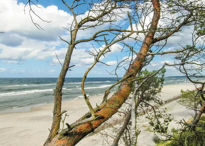 Stunning In Грзибово